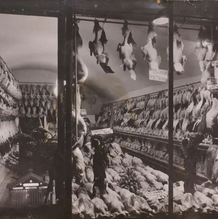 L’Ingrosso Polleria Moretti